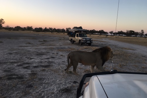 Drifters mobiele safaridagen Botswana 002